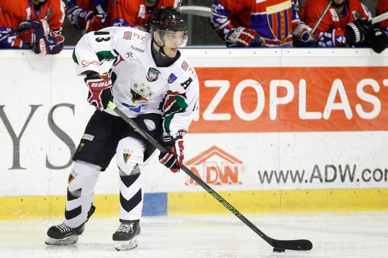 Ice Hockey. Polska Hokej Liga. GKS Tychy - Tempish Polonia Bytom. 08.03.2017