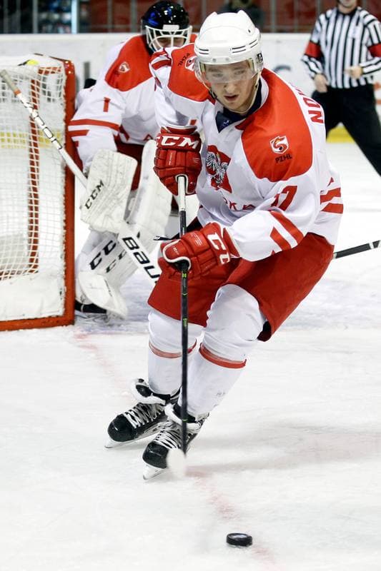 Ice Hockey. U20 World Championship Division 1B. Hungary - Poland. 14.12.2018