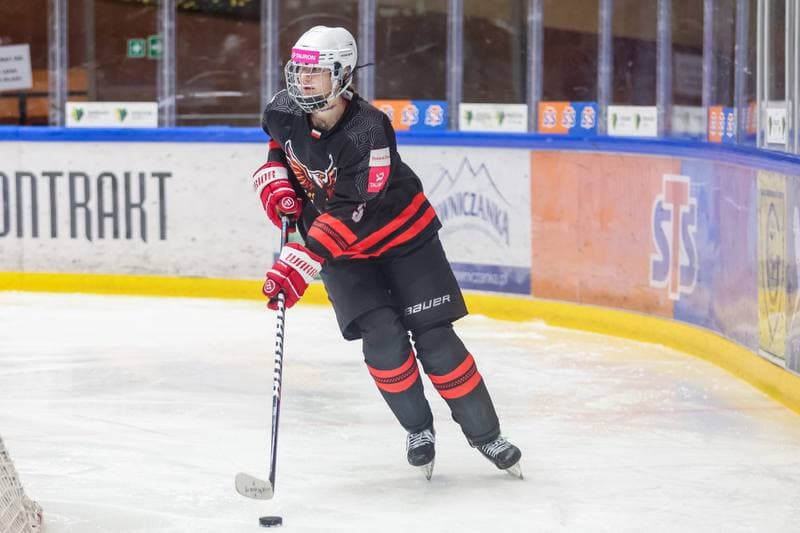Ice Hockey. EWHL. Tauron Metropolia Silesia - Aisulu Almaty. 26.11.2023