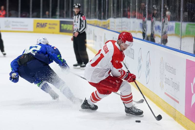 Ice Hockey. Friendly Match. Poland - Slovenia. 19.04.2024