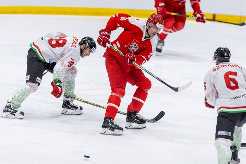 Ice Hockey. Friendly Match. Poland - Hungary. 21.04.2023