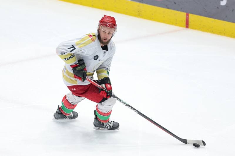 Ice Hockey. Tauron Hokej Liga. Zaglebie Sosnowiec - Marma Ciarko STS Sanok. 23.02.2024