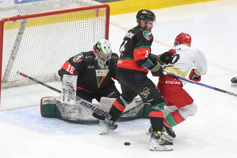 Ice Hockey. Tauron Hokej Liga. Zaglebie Sosnowiec - GKS Tychy. 27.02.2024