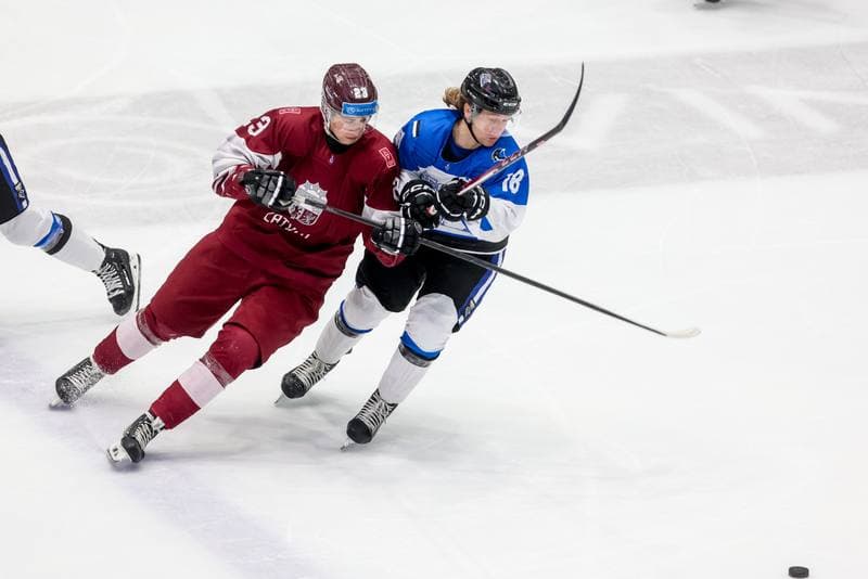 Ice Hockey. EIHC. Estonia - Latvia. 11.11.2023