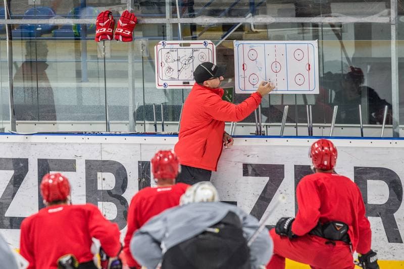Ice Hockey. Poland national team. Training. 02.11.2020
