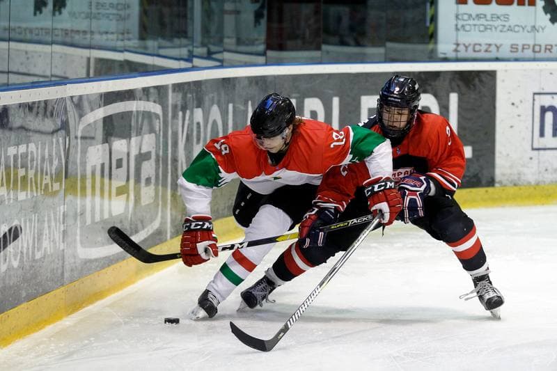 Ice Hockey. U20 World Championship Division 1B. Japan - Hungary. 08.12.2018