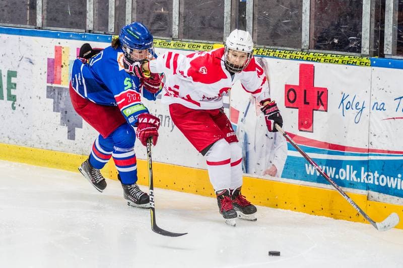 Ice Hockey. EWHL. Silesia Breckens - Hvidovre IK Selects. 01.12.2019