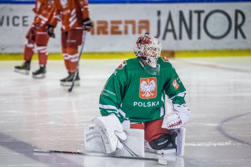 Ice Hockey. Poland national team. Training. 31.03.2022