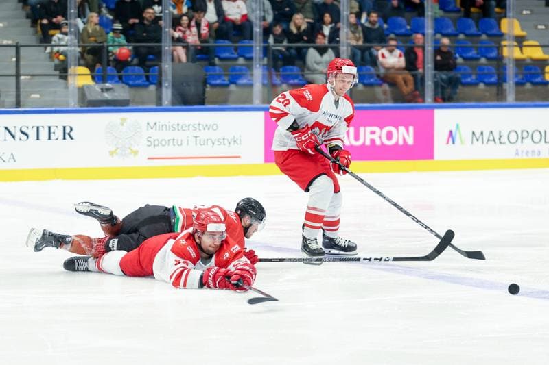 Ice Hockey. Friendly Match. Poland - Hungary. 12.04.2024