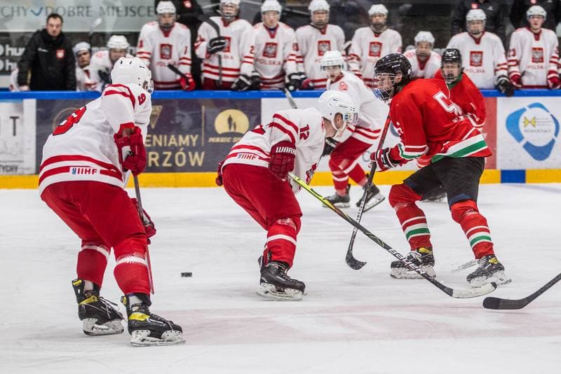 Ice Hockey. Poland U20. - Hungary U20. 08.04.2021