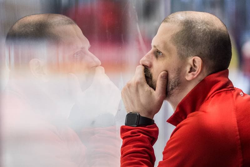 Ice Hockey. Poland national team. Training. 29.04.2022