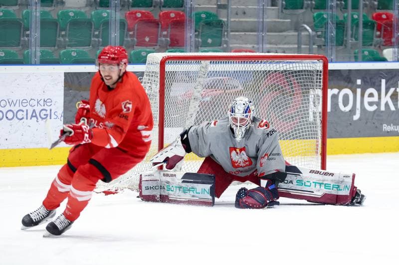 Ice Hockey. Poland national team. Training. 03.02.2024