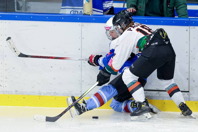 Ice Hockey. Tauron Liga. Kojotki Naprzod Janow - Stoczniowiec Gdansk. 24.02.2024