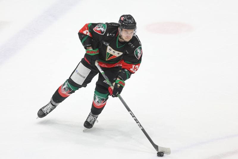 Ice Hockey. Tauron Hokej Liga. Zaglebie Sosnowiec - GKS Tychy. 27.02.2024
