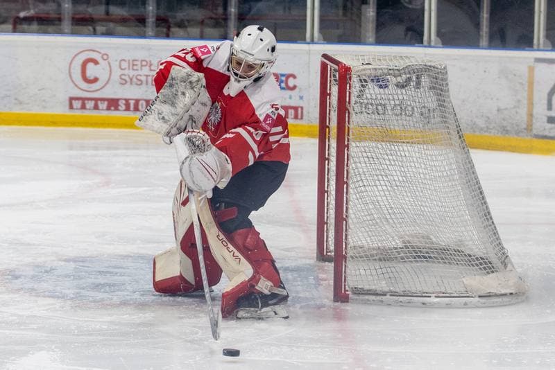 Ice Hockey. EWHL. Orlice Bytom - Hokiklub Budapest. 15.01.2023