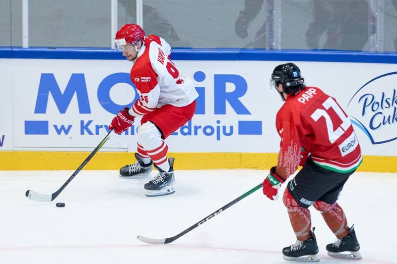 Ice Hockey. Friendly Match. Poland - Hungary. 13.04.2024