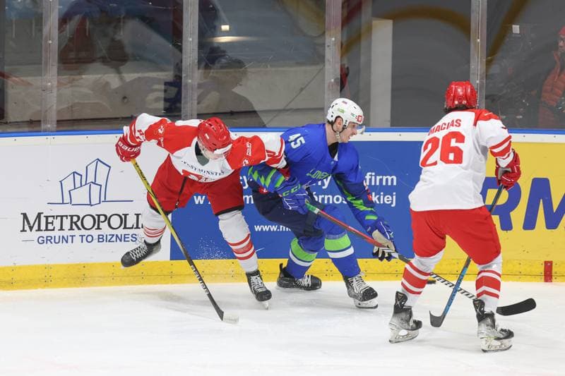 Ice Hockey. Friendly Match. Poland - Slovenia. 19.04.2024