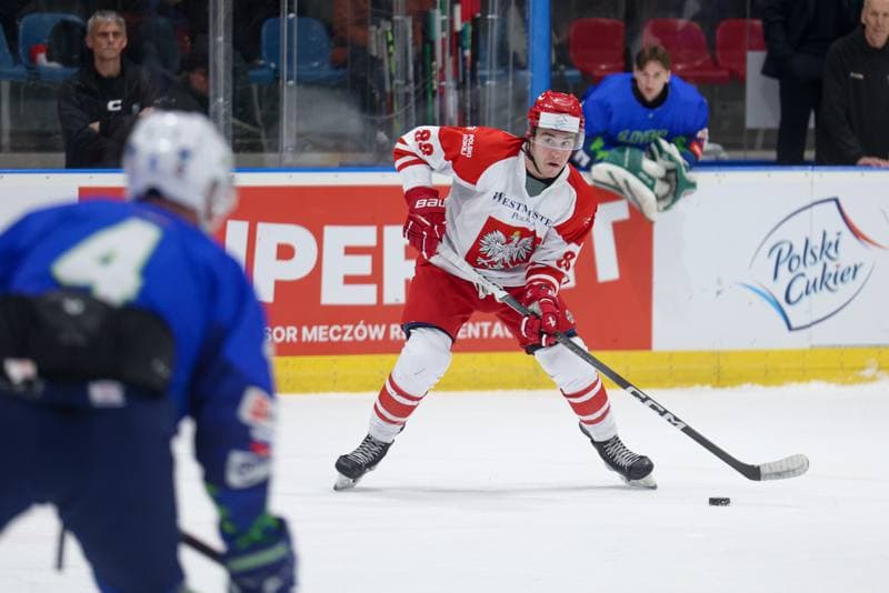 Ice Hockey. Friendly Match. Poland - Slovenia. 19.04.2024