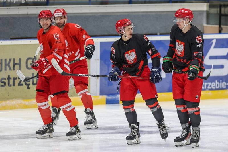 Ice Hockey. Poland national team. Training. 10.12.2023
