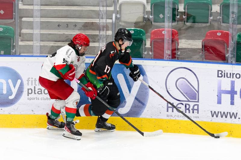 Ice Hockey. MHL. Zaglebie Sosnowiec - Naprzod Janow Katowice. 06.01.2024