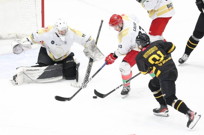 Ice Hockey. Tauron Hokej Liga. Zaglebie Sosnowiec - GKS Katowice. 21.01.2024