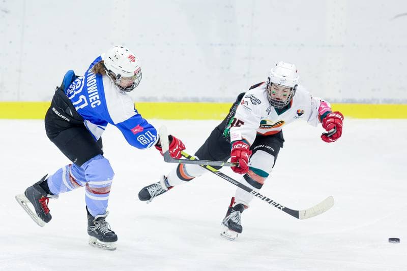 Ice Hockey. Tauron Liga. Kojotki Naprzod Janow - Stoczniowiec Gdansk. 24.02.2024