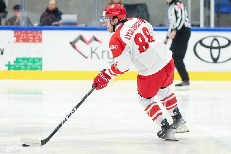 Ice Hockey. Friendly Match. Poland - Hungary. 12.04.2024