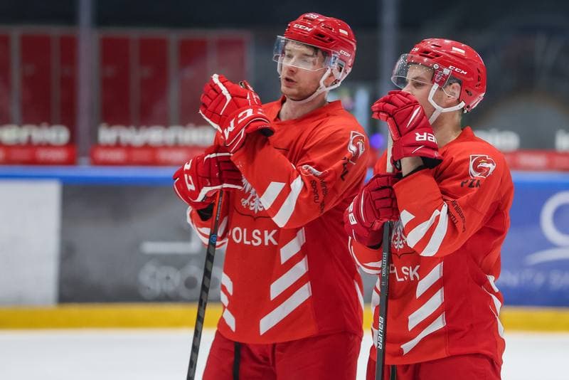 Ice Hockey. Poland national team. Training. 17.04.2023