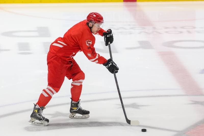 Ice Hockey. Poland national team. Training. 07.11.2023