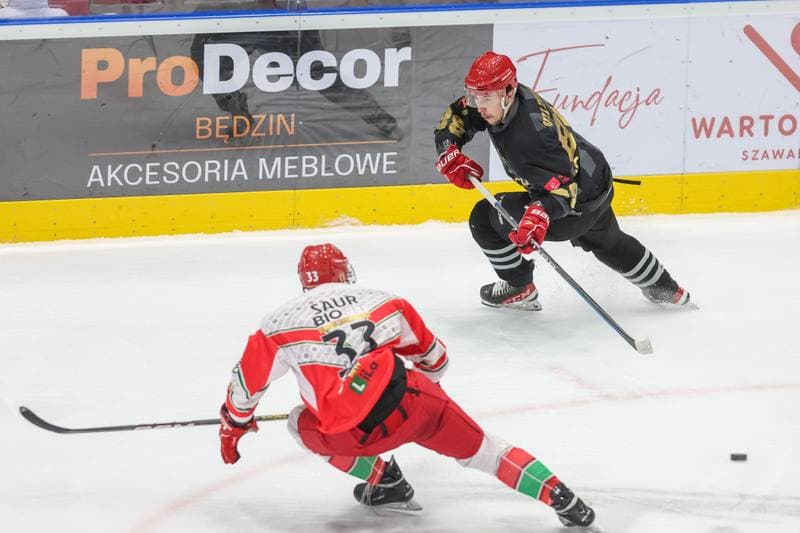 Ice Hockey. Tauron Hokej Liga. Zaglebie Sosnowiec - Comarch Cracovia. 19.11.2023