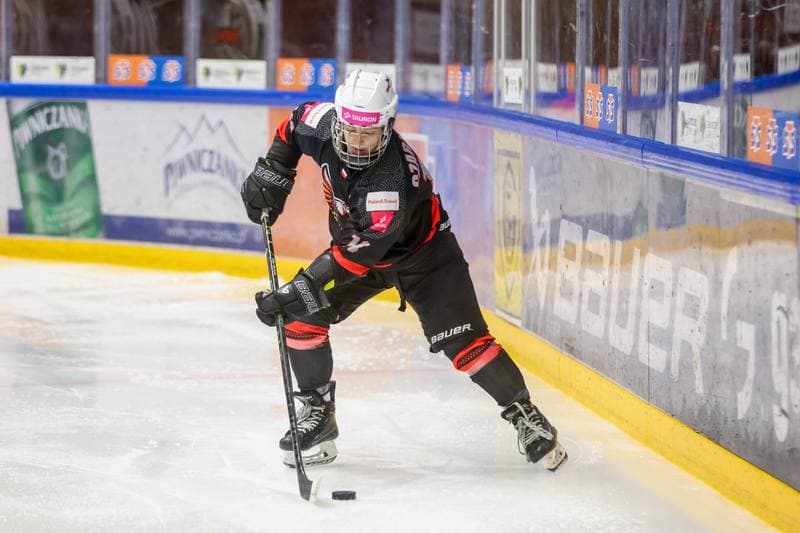 Ice Hockey. EWHL. Tauron Metropolia Silesia - Aisulu Almaty. 26.11.2023
