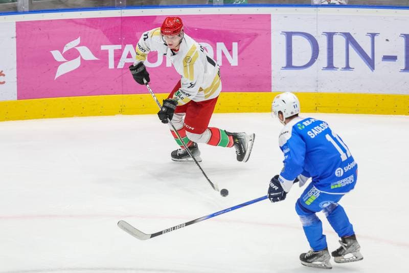 Ice Hockey. Tauron Hokej Liga. Zaglebie Sosnowiec - Re-Plast Unia Oswiecim. 22.12.2023