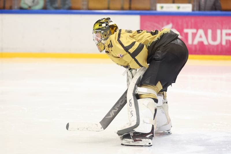 Ice Hockey. Tauron Hokej Liga. GKS Katowice - KH Energa Torun. 19.01.2024
