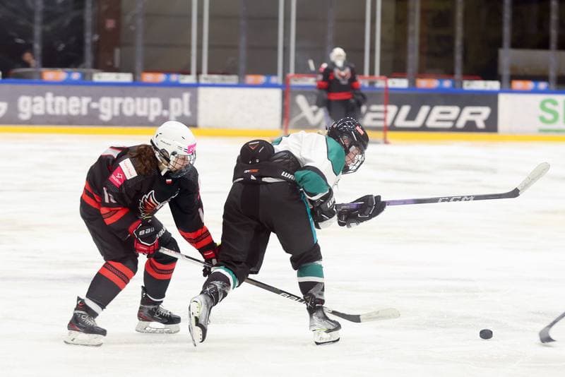 Ice Hockey. EWHL. Tauron Metropolia Silesia - KEHV Lakers. 03.02.2024