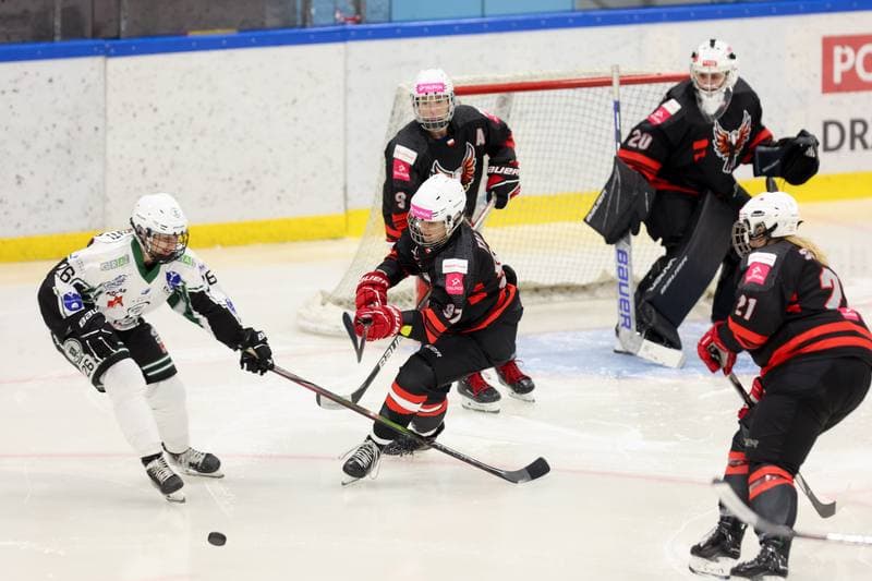 Ice Hockey. EWHL. Tauron Metropolia Silesia - EC Graz Huskies. 02.03.2024