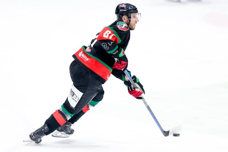 Ice Hockey. Tauron Hokej Liga. JKH GKS Jastrzebie - GKS Tychy. 04.04.2024