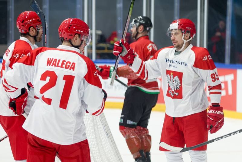 Ice Hockey. Friendly Match. Poland - Hungary. 13.04.2024