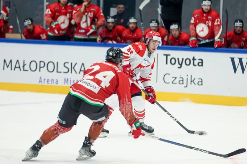 Ice Hockey. Friendly Match. Poland - Hungary. 13.04.2024