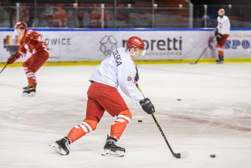 Ice Hockey. Poland national team. Training. 15.04.2021