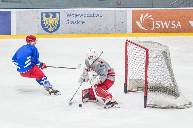 Ice Hockey. Poland national team. Training. 06.04.2022