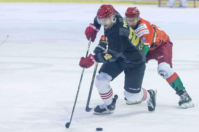 Ice Hockey. PHL. Comarch Cracovia - Zaglebie Sosnowiec. 02.11.2022