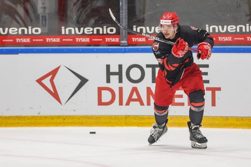 Ice Hockey. Poland national team. Training. 24.04.2023