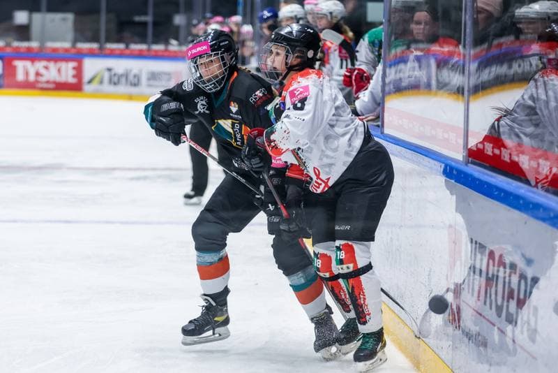 Ice Hockey. Tauron Liga. Atomowki GKS Tychy - Kojotki Naprzod Janow. 29.10.2023