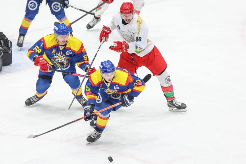 Ice Hockey. Tauron Hokej Liga. Zaglebie Sosnowiec - PZU Podhale Nowy Targ. 03.12.2023