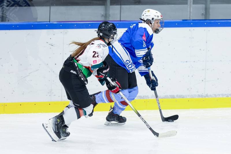Ice Hockey. Tauron Liga. Kojotki Naprzod Janow - Stoczniowiec Gdansk. 24.02.2024