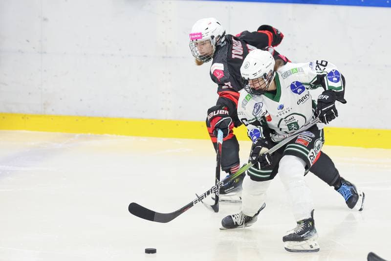 Ice Hockey. EWHL. Tauron Metropolia Silesia - EC Graz Huskies. 02.03.2024