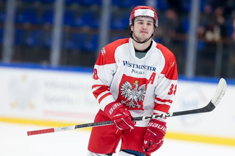 Ice Hockey. Friendly Match. Poland - Hungary. 12.04.2024