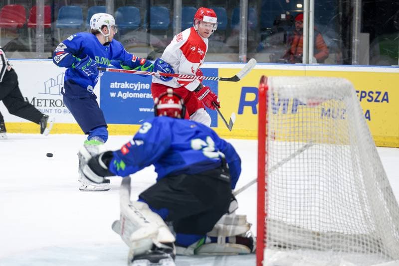 Ice Hockey. Friendly Match. Poland - Slovenia. 19.04.2024
