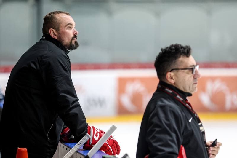 Ice Hockey. Poland national team. Training. 03.11.2024