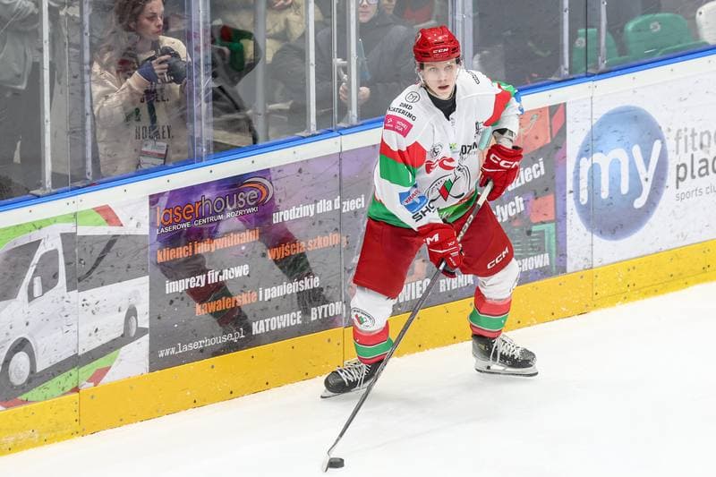 Ice Hockey. Tauron Hokej Liga. EC Bedzin Zaglebie Sosnowiec - KH Energa Torun. 19.01.2025